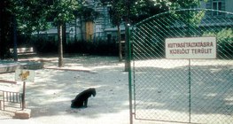 منطقة مخصصة لتمشية الكلاب