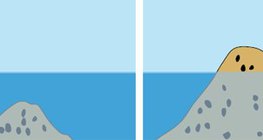 الشعاب المرجانية و الجزيرة