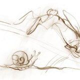 الحلزون بطيء، بينما الأرنب سريع