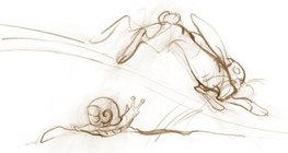 الحلزون بطيء، بينما الأرنب سريع