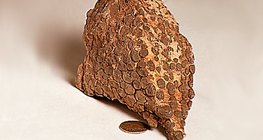 حجر جيري شعابي