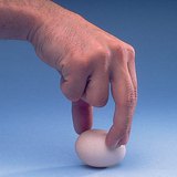 تحريك البيض