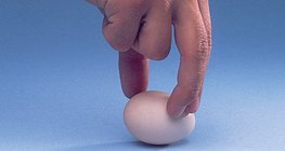 تحريك البيض