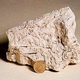 حجر جيري طباشيري