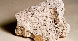 حجر جيري طباشيري