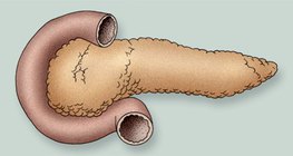 غدة البنكرياس