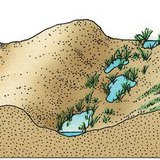 تشكل الكثبان الرملية