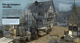 Life in a Medieval Town