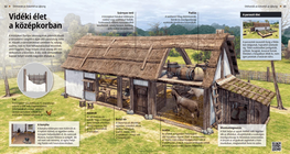 Rural Life in the Middle Ages