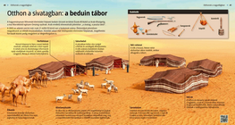 Bedouin Camps