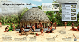 Traditional Polynesian Settlements