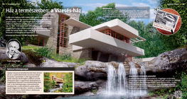 A House in Dialogue with Nature: Fallingwater