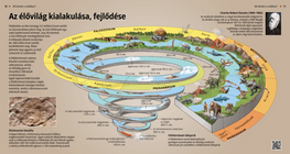 تطور الحيوانات و النباتات