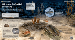 ثالثية الفصوص