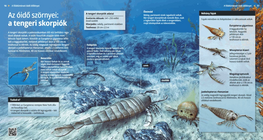 العقارب البحرية