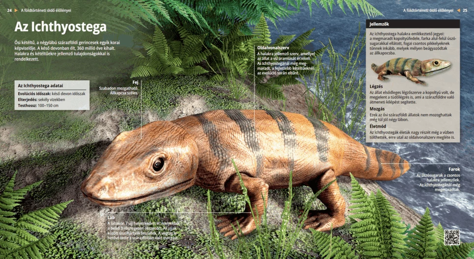 إكثيوستيكا