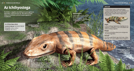 إكثيوستيكا