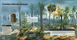 نباتات العصر الكربوني