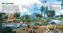 الحياة في العصر البرمي