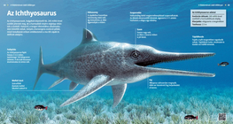 اإلكتيوصور