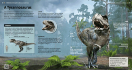 التيرانوصور ريكس