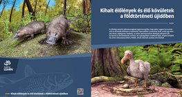 األنواع المنقرضة و الحفريات الحية في عصر حقب الحياة الحديثة