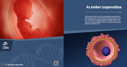 التكاثر البشري