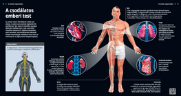 جسم اإلنسان المذهل