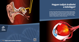 كيف نشعر بالعالم من حولنا؟