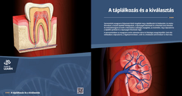 الهضم و اإلفراز