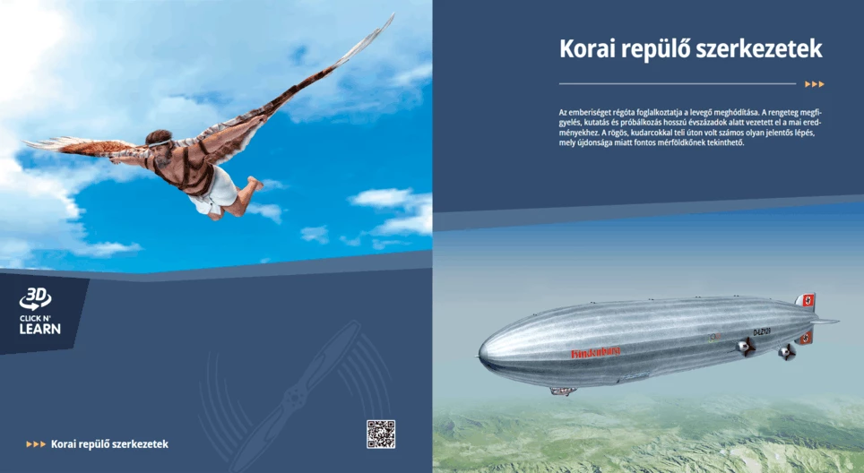 Early Flying Structures