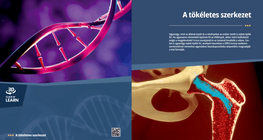 الهيكل المثالي