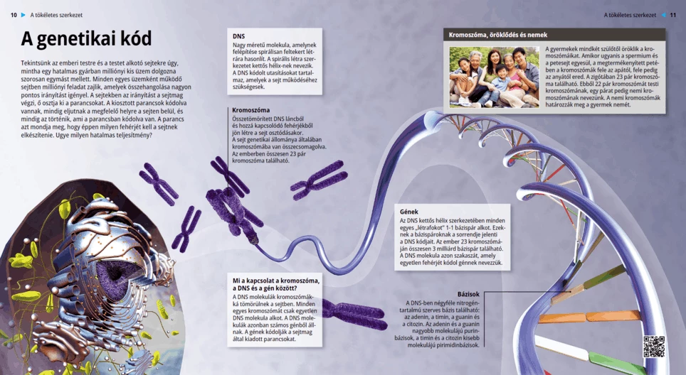 الشيفرة الوراثية