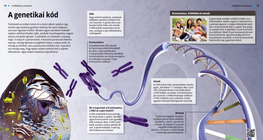 الشيفرة الوراثية
