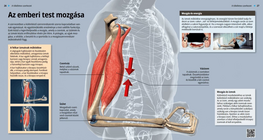 حركة الجسم البشري