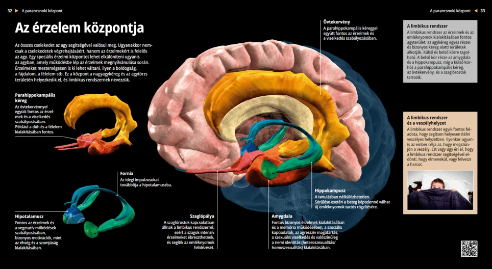 مركز األحاسيس