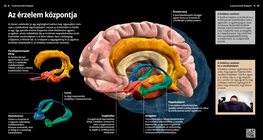 مركز األحاسيس