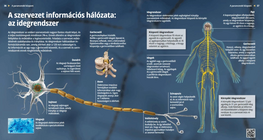 الجهاز العصبي