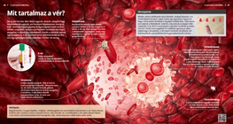 ماذا يحتوي الدم؟