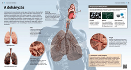 تأثير التدخين
