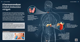 الجهاز الهرموني - الغدد الصماء