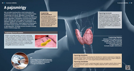 الغدة الدرقية
