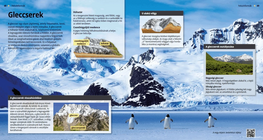 أنهار جليدية