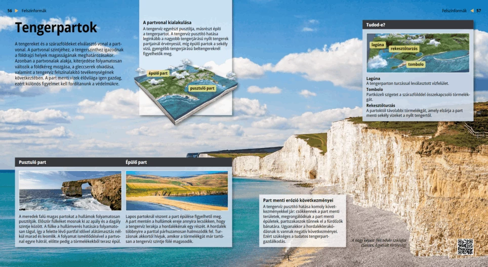 شواطئ البحر