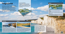 شواطئ البحر