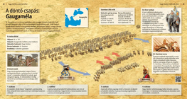 The Decisive Strike: the Battle of Gaugamela