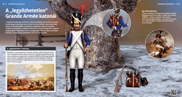 Soldiers of the ‘invincible’ Grand Armée