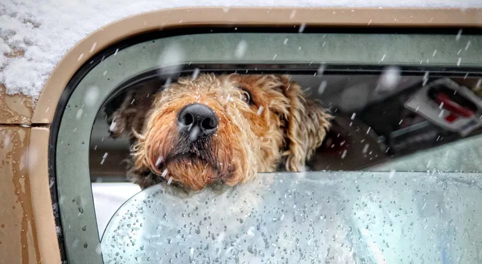 مشروع الطقس