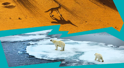 لماذا تتشكل على أرضنا الصحارى و المناطق الجليدية؟