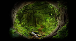 في عمق الغابة